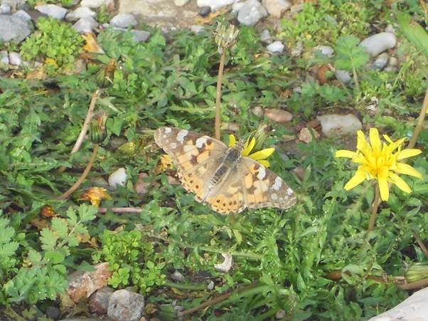 clip_image010